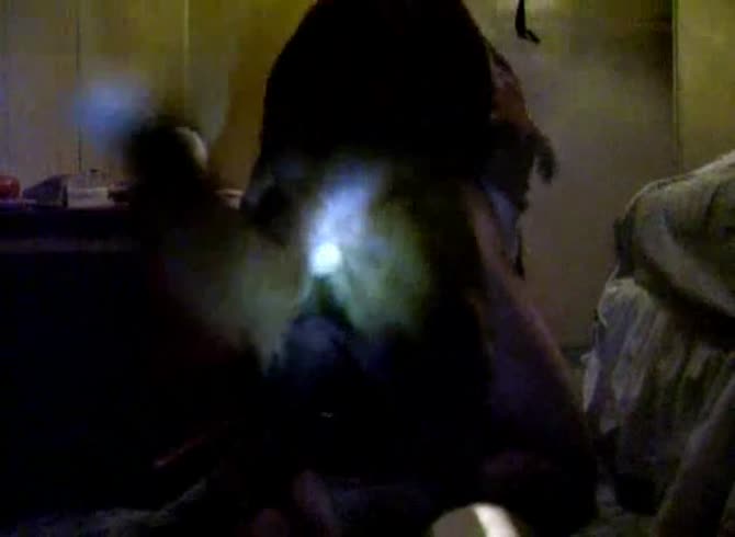 Video :Homemade dog sex with beastie gal and black dog